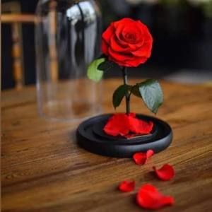 Meet your Posher, Sadaf